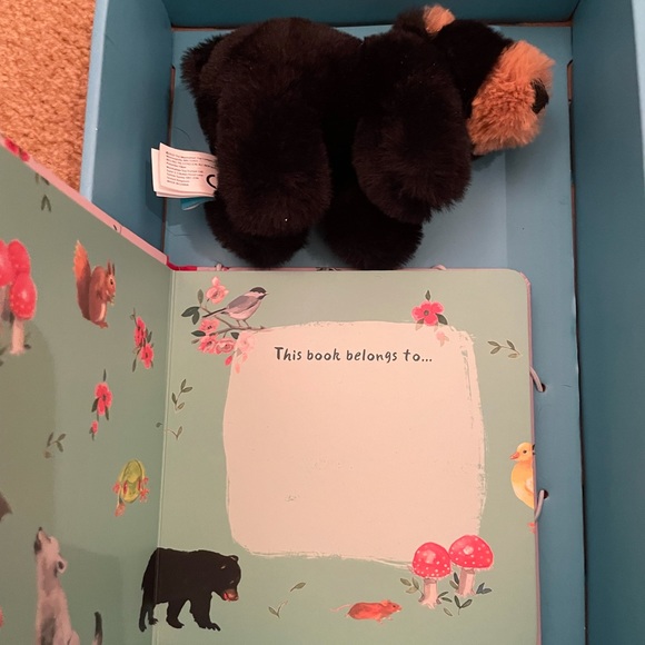 Animal Sounds Board Book + Mini Bear Plush Toy - Picture 3 of 12